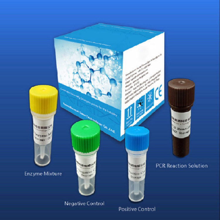 Reagent Diagnostic Test Kits a Covid-2019 Zimatengera Real-time Pcr Platform